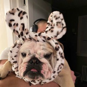 Meet your Posher, Justina